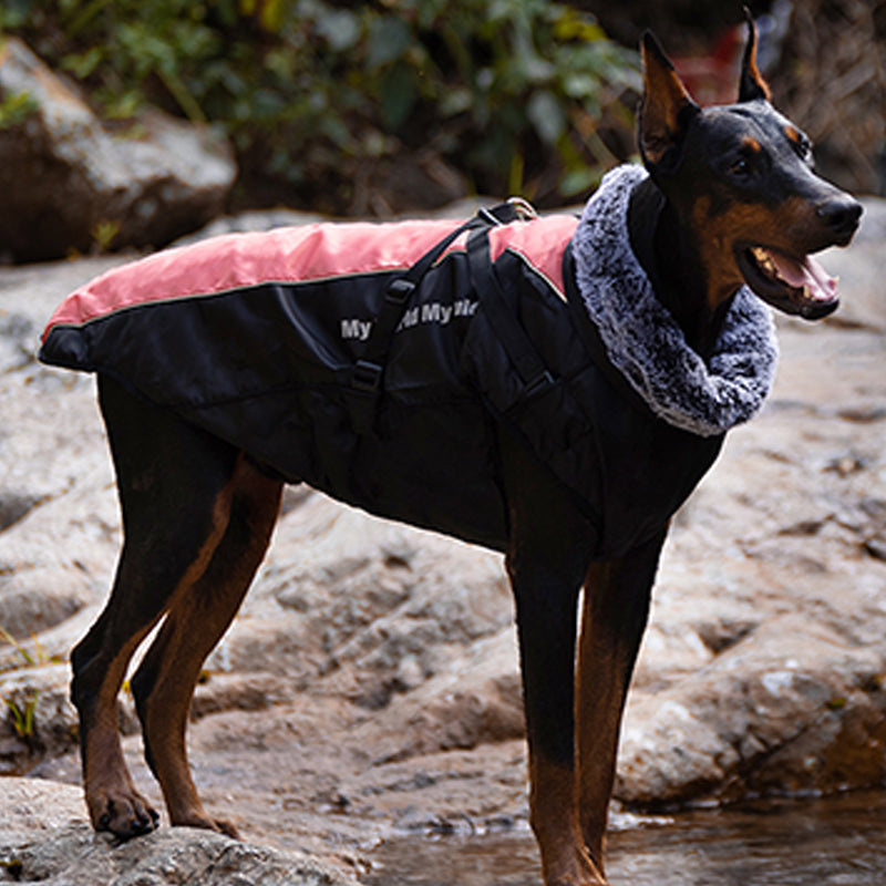 📢📢 50% OFF🐶Waterproof Warm Dog Vest – Cozy, Weather-Resistant Protection for Cold & Rainy Days